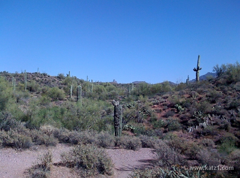 Pictures from iPhone 011